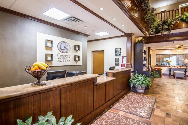 Comfort Suites Marshall image 10