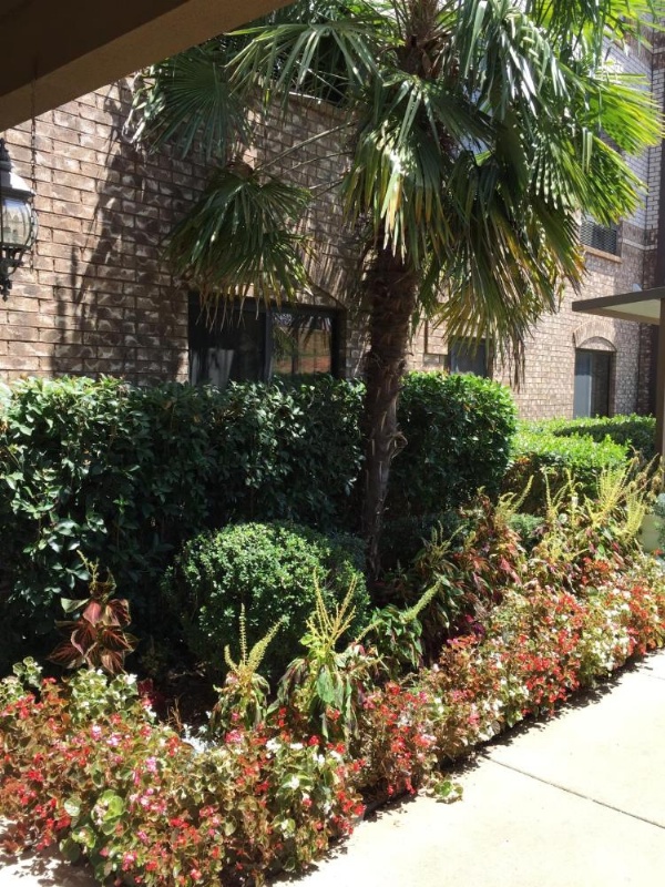 Comfort Suites Marshall image 17