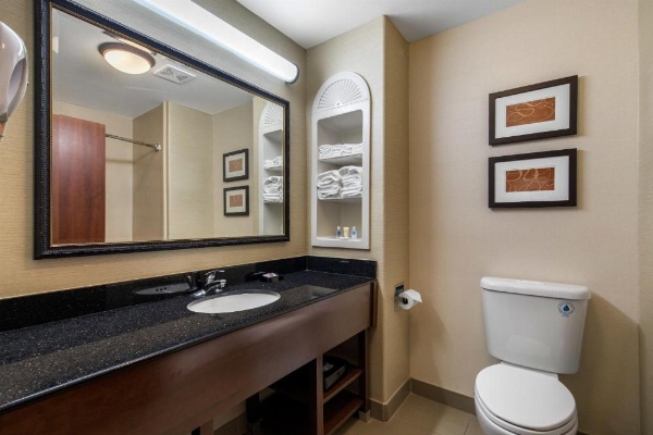 Comfort Suites Marshall image 25